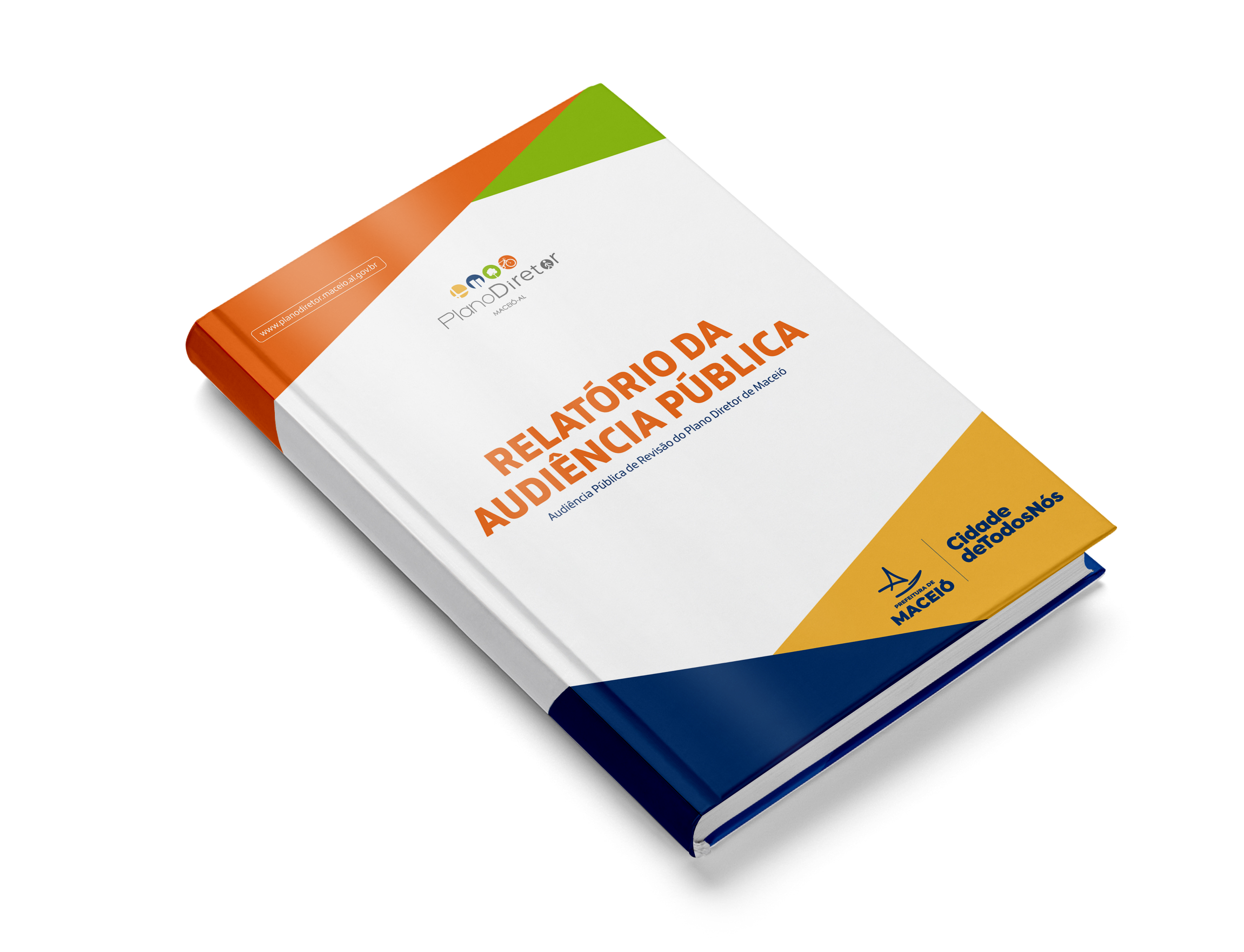 Relatório Audiência Pública